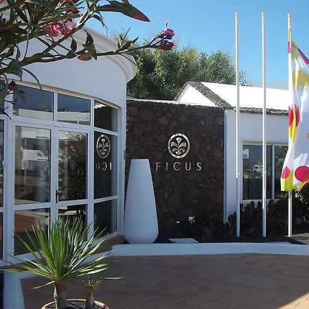 Apartamentos Ficus Costa Teguise Dış mekan fotoğraf